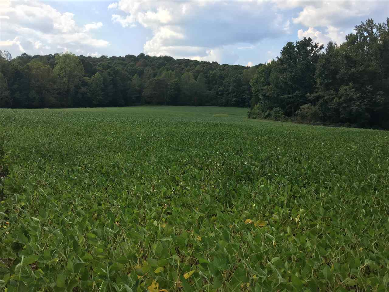 0 Rochester Road Morgantown, KY 42261 - Photo 1 of 22 Gallery Image 1