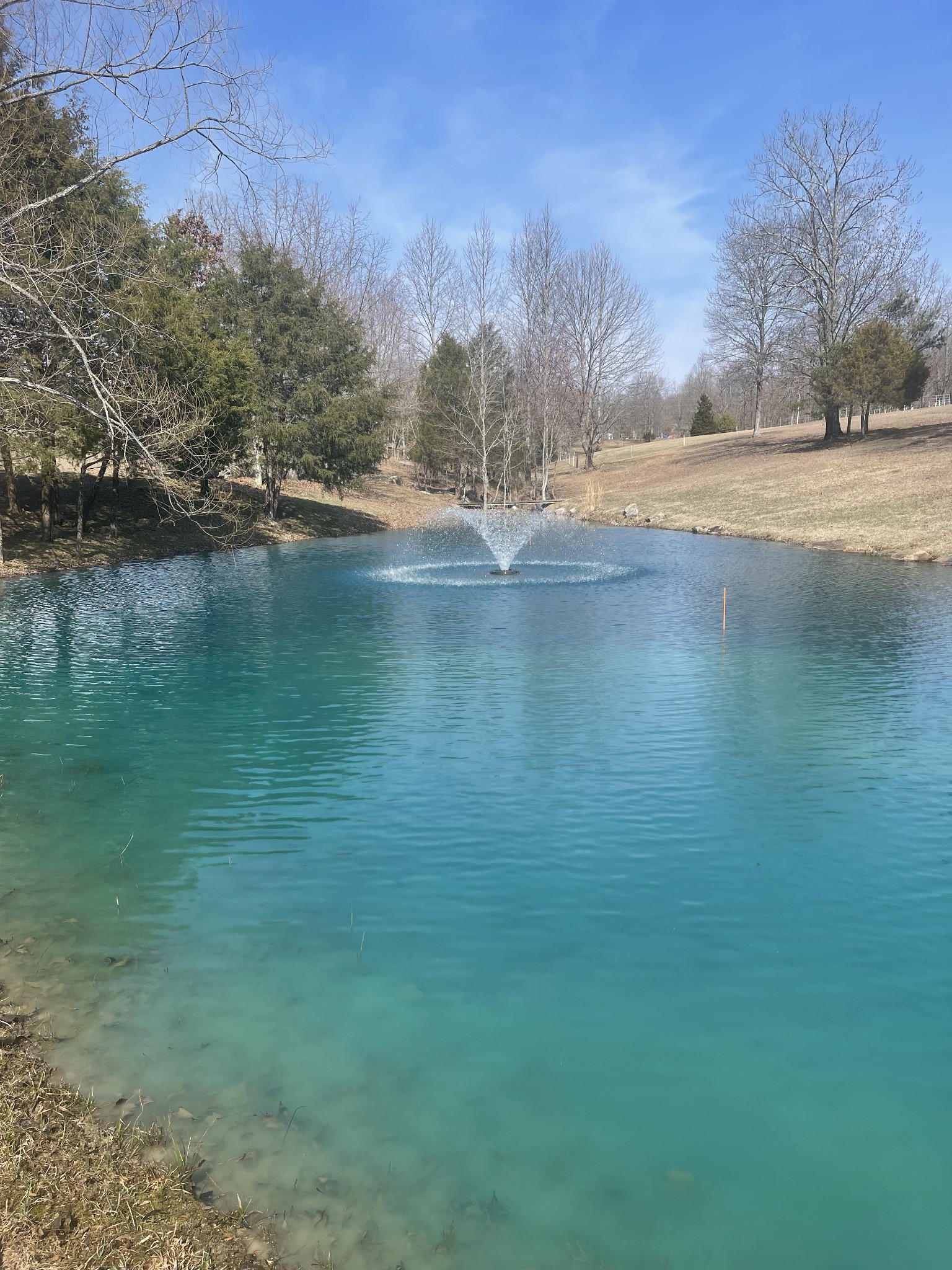 499 Wildheart Lane Sewanee, TN 37375 - Photo 27 of 32 a view of lake view with trees