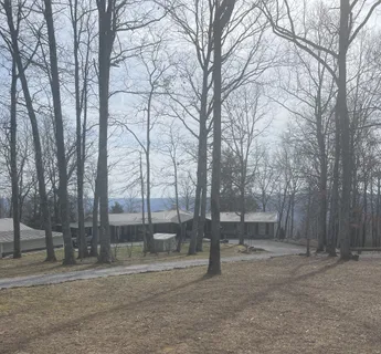 a view of a yard with a trees