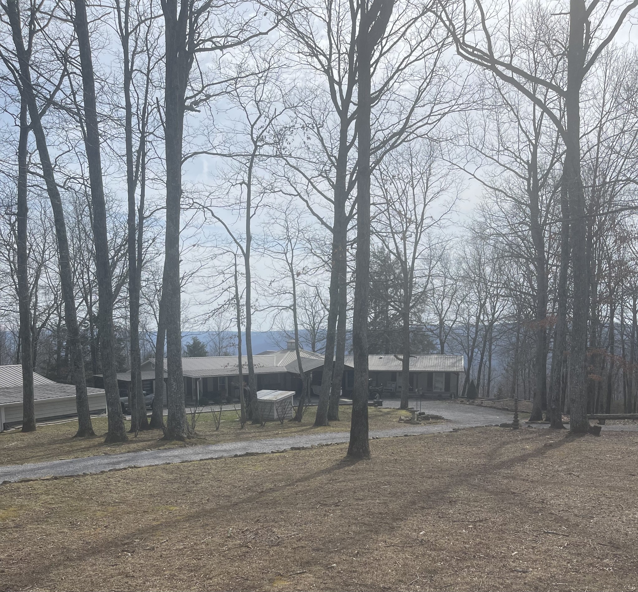 499 Wildheart Lane Sewanee, TN 37375 - Photo 28 of 32 a view of a yard with a trees