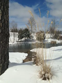 a view of a lake