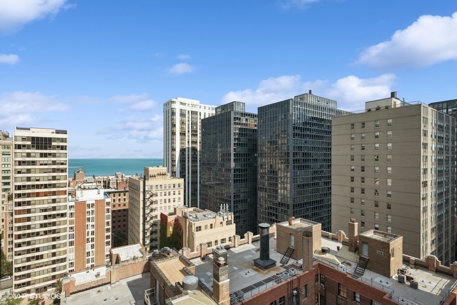 222 East Chestnut Street, Unit 17B Chicago, IL 60611 - Photo 26 of 29 a view of a city with tall buildings