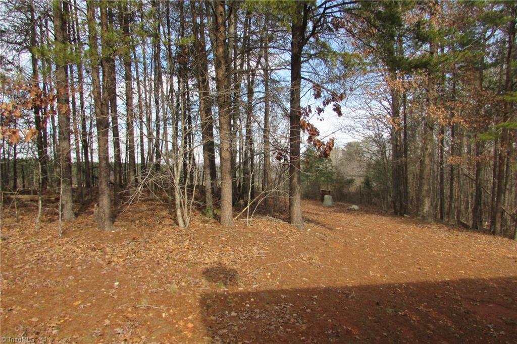 801 Providence Church Road Randleman, NC 27317 - Photo 28 of 30 Gallery Image 28