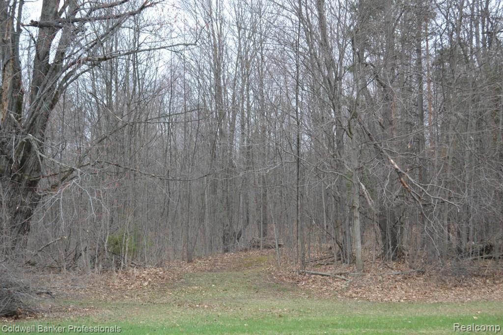 4739 Skelton Road Columbiaville, MI 48421 - Photo 8 of 36 Trail leads to back of property