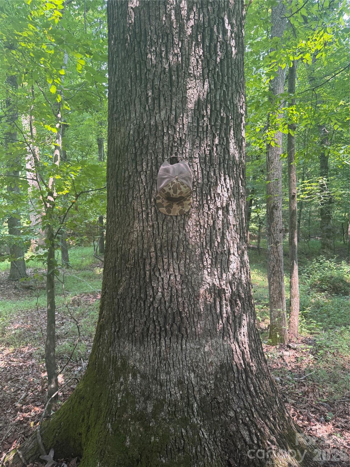 0 Cherryville Road Cherryville, NC 28021 - Photo 11 of 17 Gallery Image 11