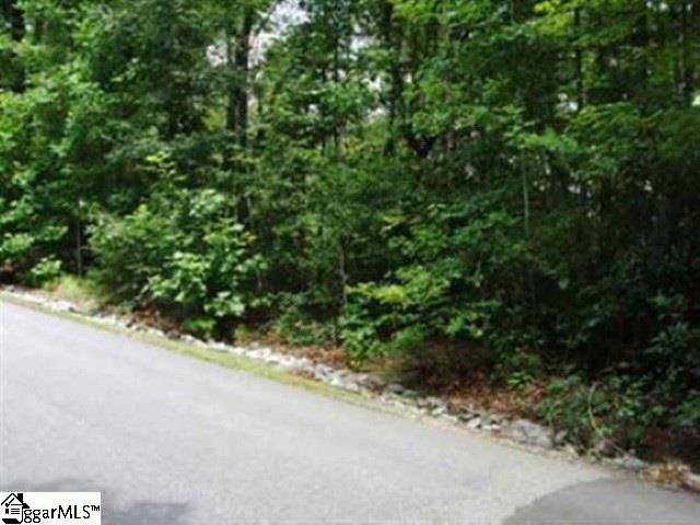 408 Whispering Falls Road Pickens, SC 29671 - Photo 3 of 5 Gallery Image 3