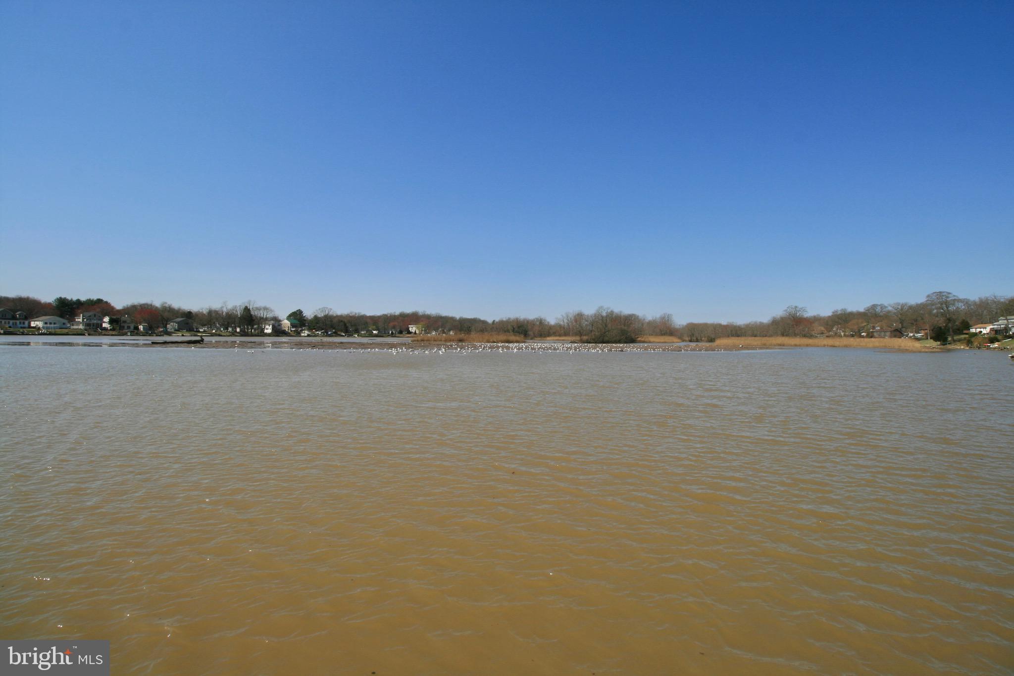 11307 Beach Road White Marsh, MD 21162 - Photo 14 of 22 Bird River