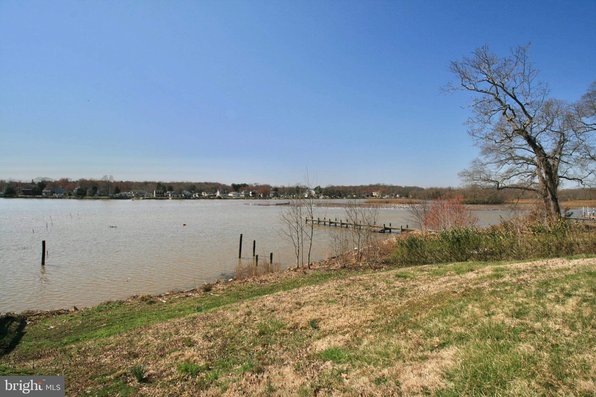 11307 Beach Road White Marsh, MD 21162 - Photo 10 of 22 View From Yard