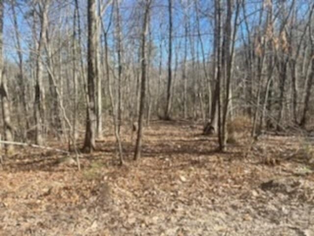 Lot 20-map Mooers Road Raymond, NH 03077 - Photo 1 of 5