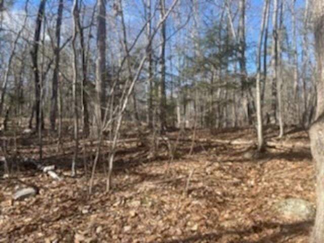 Lot 20-map Mooers Road Raymond, NH 03077 - Photo 2 of 5