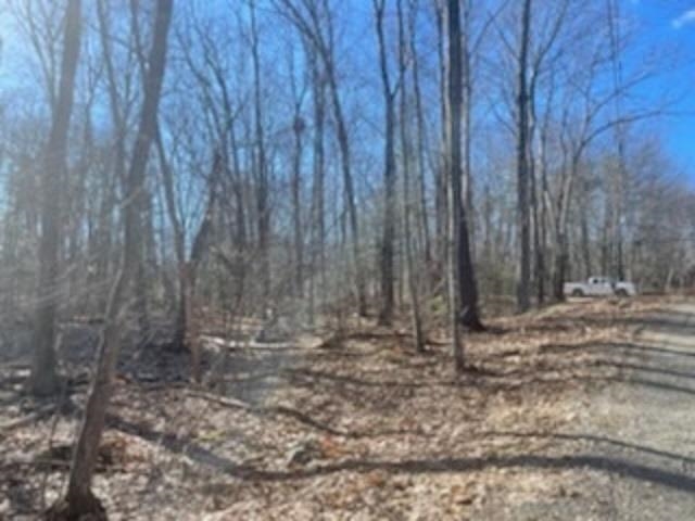 Lot 20-map Mooers Road Raymond, NH 03077 - Photo 4 of 5
