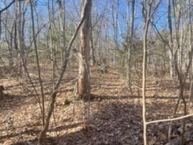 Lot 20-map Mooers Road Raymond, NH 03077 - Photo 5 of 5