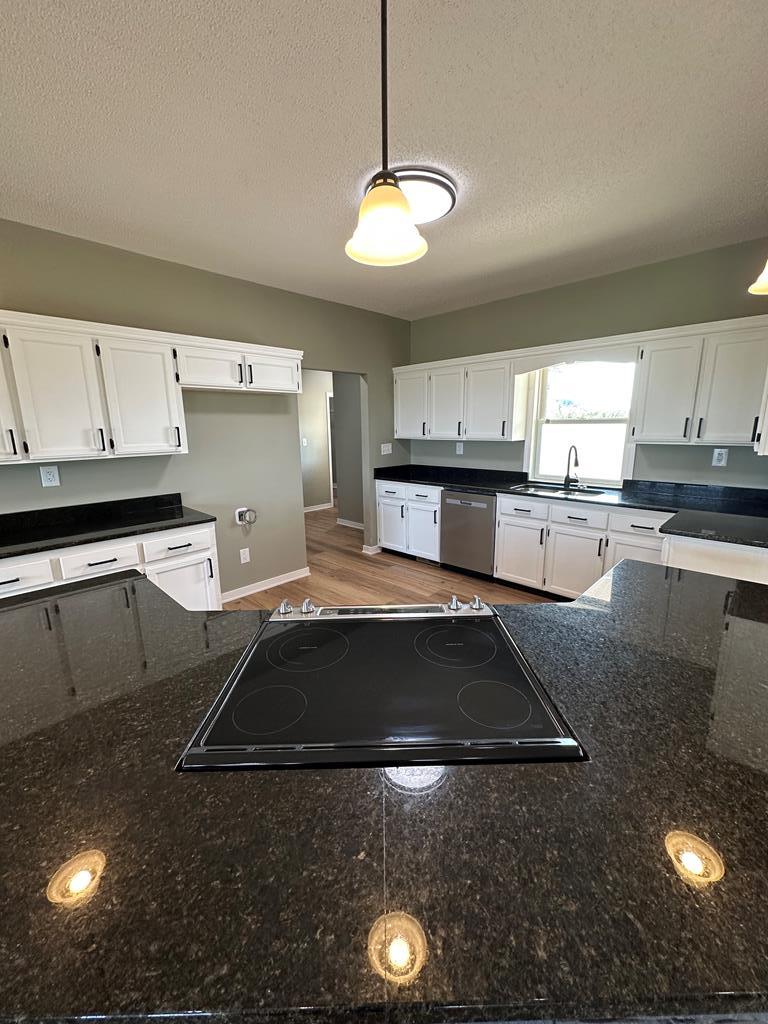 908 Old Ebenezer Road Marion, VA 24354 - Photo 52 of 63 Gallery Image 52
