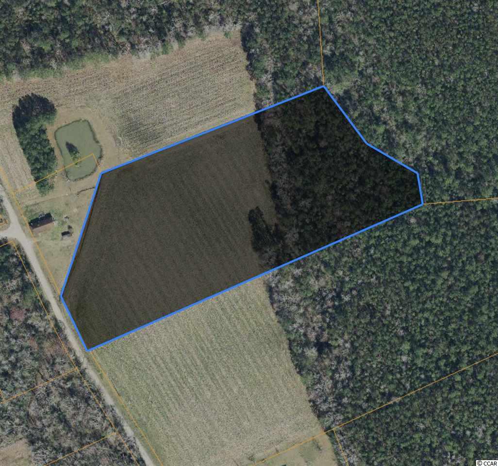 Tract C Dukes Road Conway, SC 29526 - Photo 1 of 2 Gallery Image 1