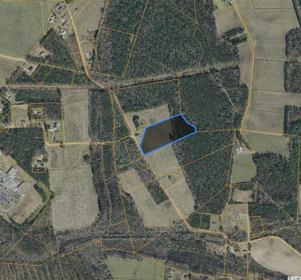 Tract C Dukes Road Conway, SC 29526 - Photo 2 of 2 Gallery Image 2
