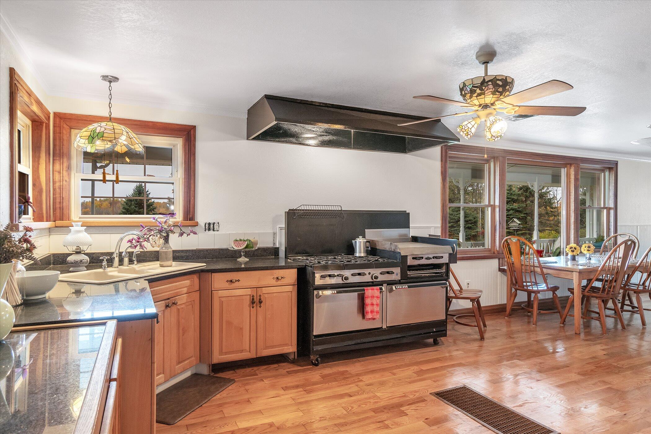 1151 East County Line Road Homer, MI 49245 - Photo 12 of 55 14-1151-E-County-Line-Rd-WindowStill-Rea
