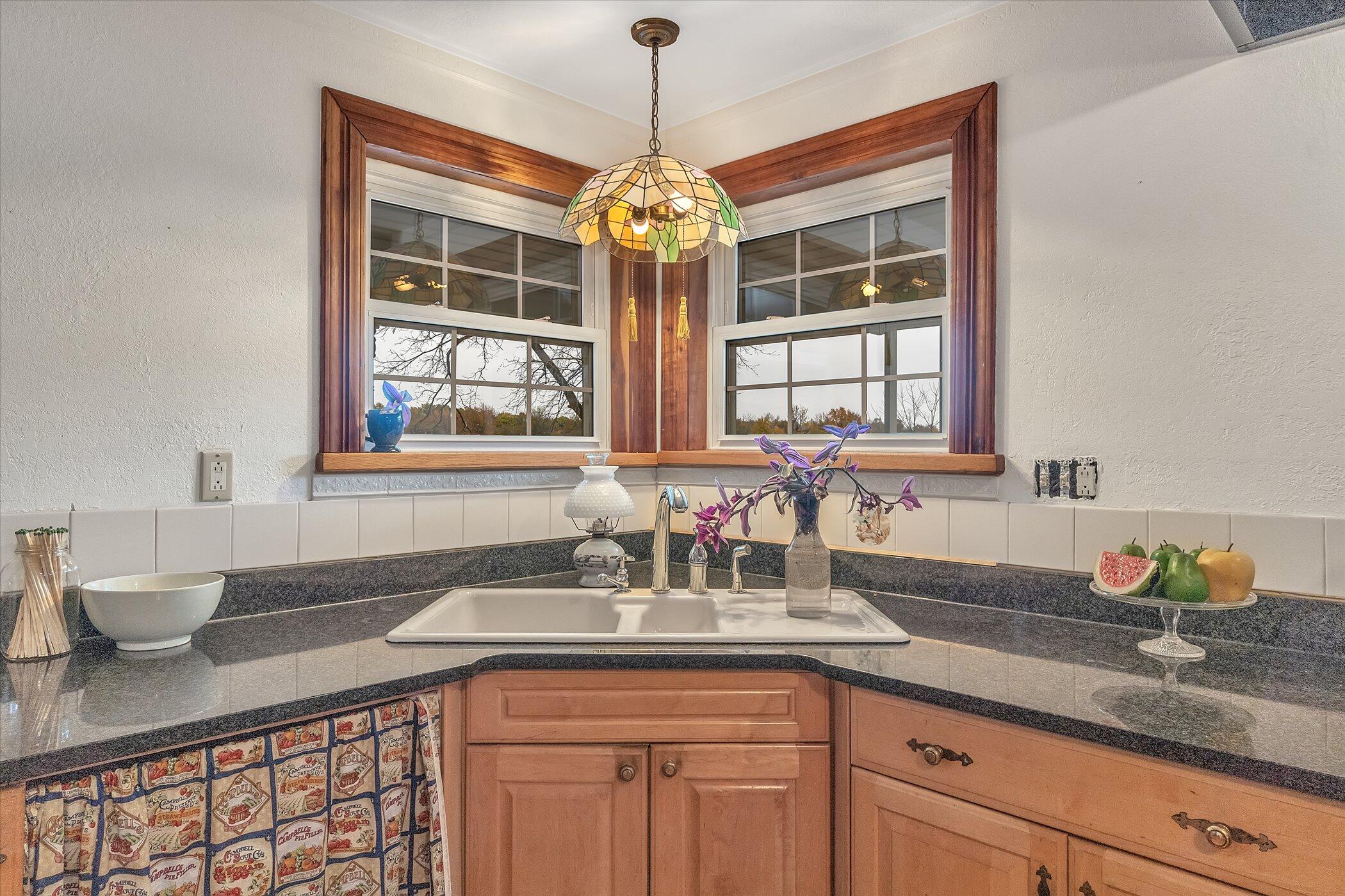 1151 East County Line Road Homer, MI 49245 - Photo 13 of 55 13-1151-E-County-Line-Rd-WindowStill-Rea