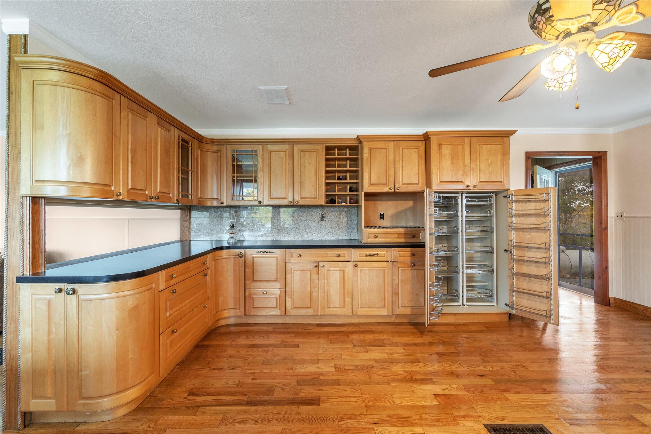 1151 East County Line Road Homer, MI 49245 - Photo 14 of 55 19-1151-E-County-Line-Rd-WindowStill-Rea