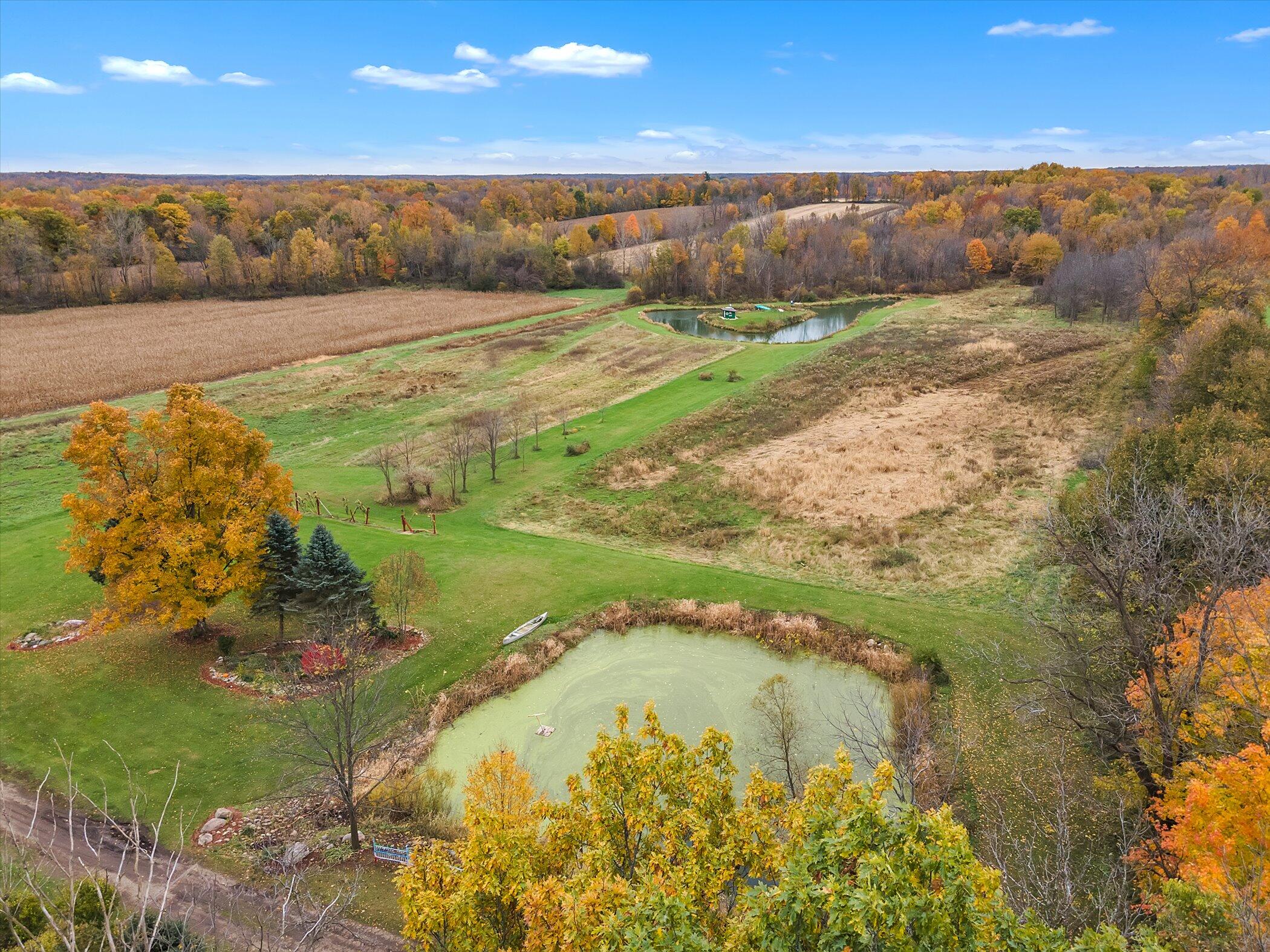 1151 East County Line Road Homer, MI 49245 - Photo 44 of 55 51-1151-E-County-Line-Rd-WindowStill-Rea