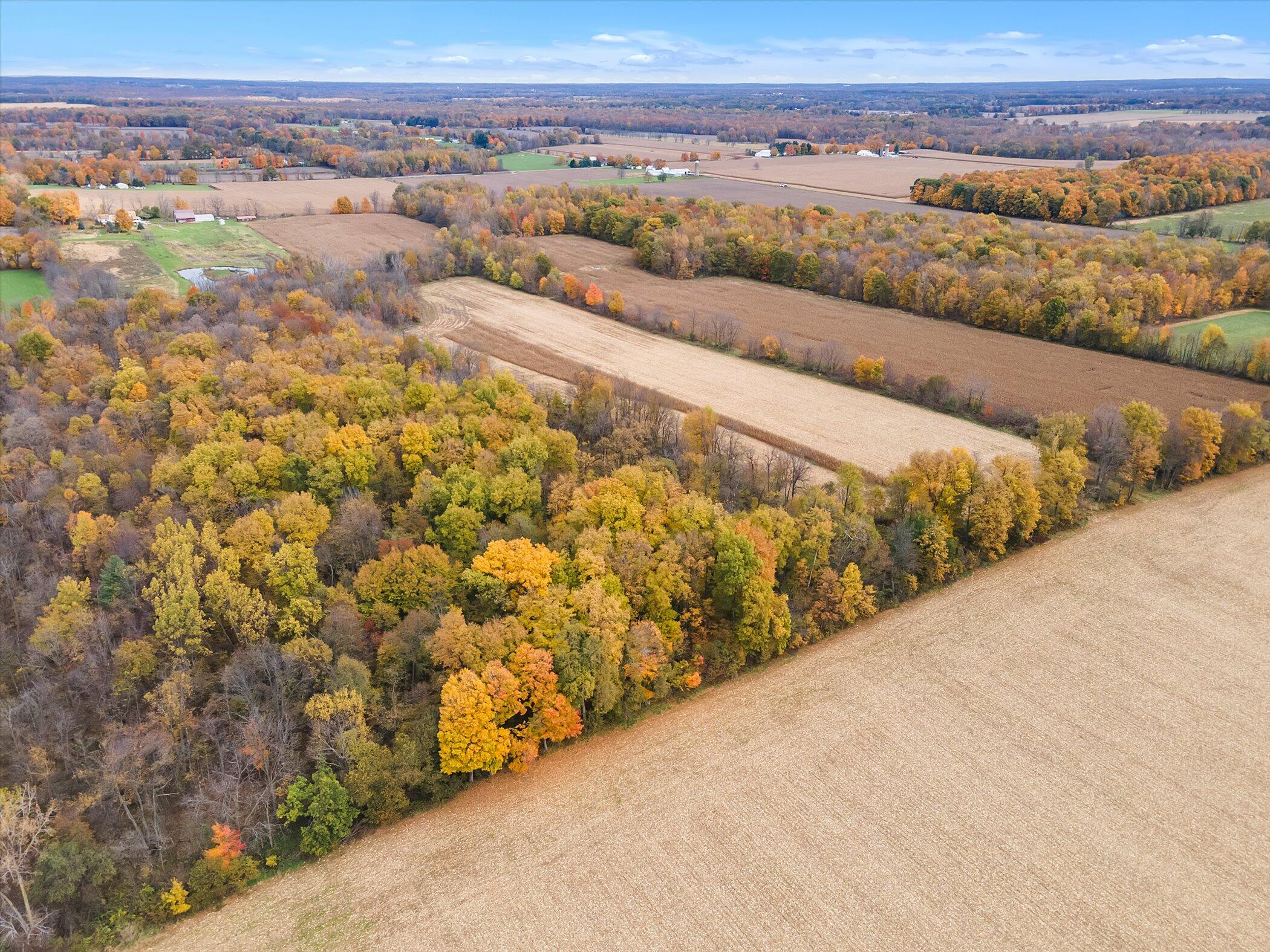 1151 East County Line Road Homer, MI 49245 - Photo 53 of 55 59-1151-E-County-Line-Rd-WindowStill-Rea