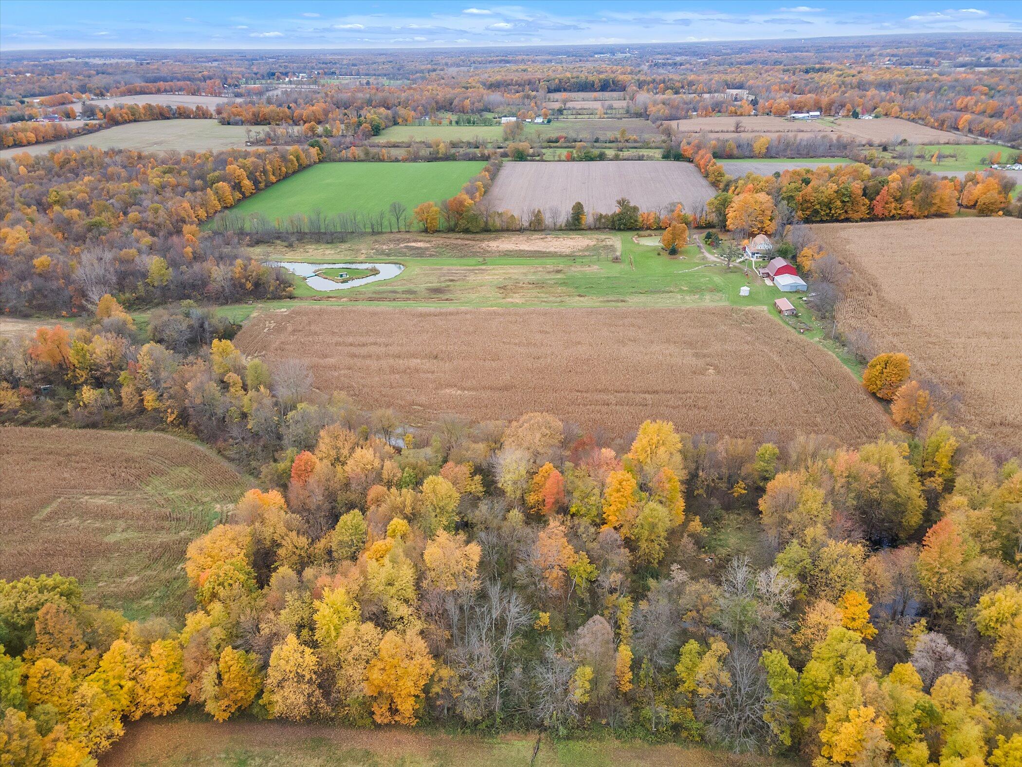 1151 East County Line Road Homer, MI 49245 - Photo 54 of 55 56-1151-E-County-Line-Rd-WindowStill-Rea