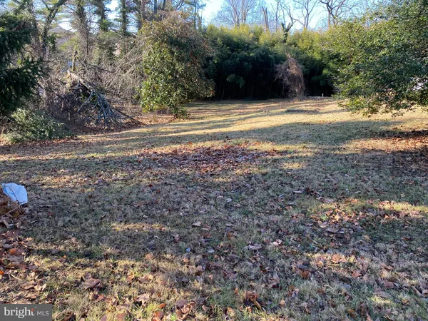 a view of a yard with large trees