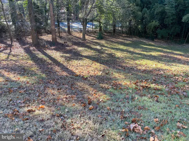 a view of backyard with green space