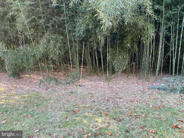 a view of outdoor space and green space