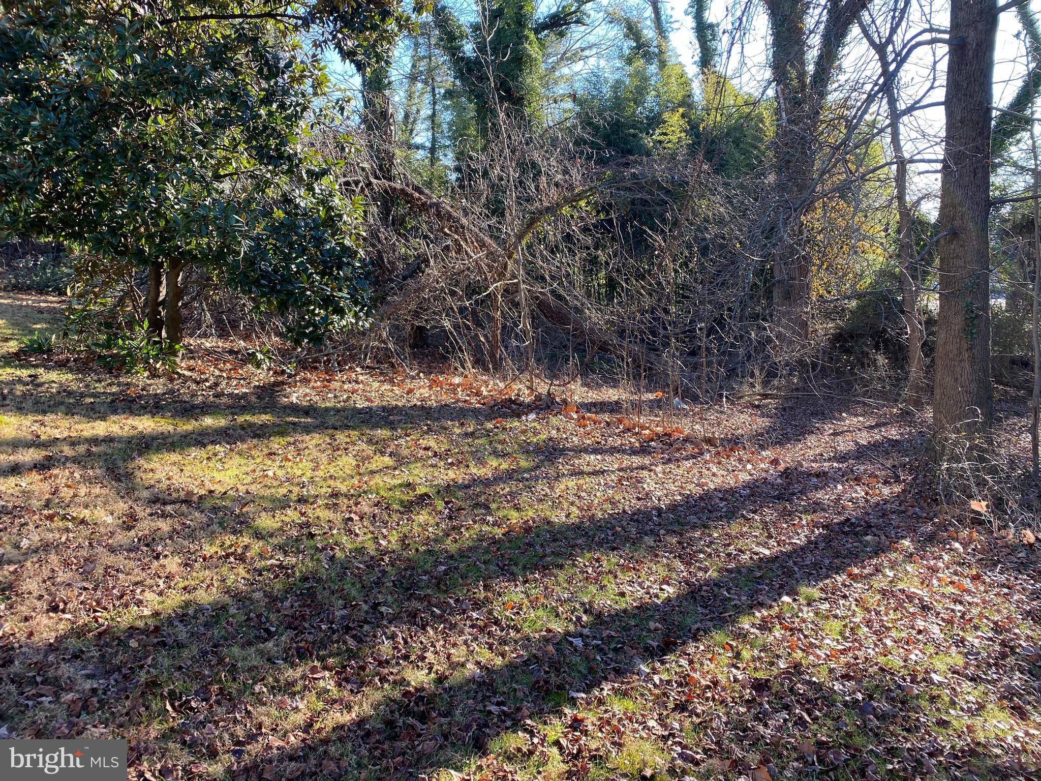 1620 Reisterstown Road Pikesville, MD 21208 - Photo 7 of 7 a view of a yard with plants and trees