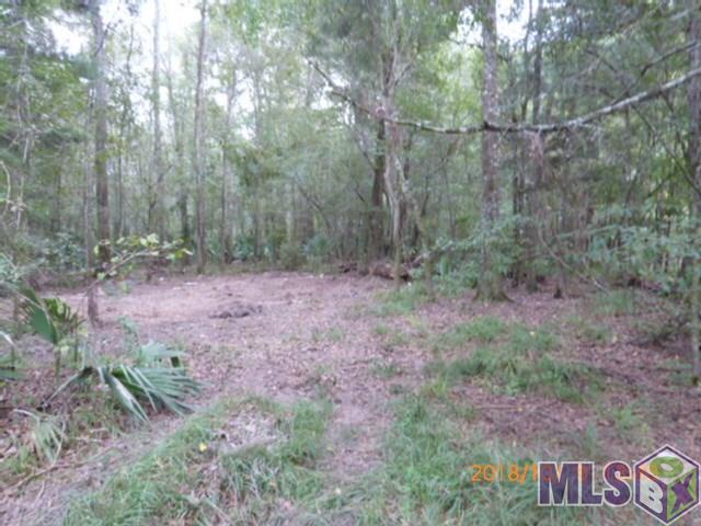 12533 Laurel Ridge Road St. Amant, LA 70774 - Photo 11 of 11 Gallery Image 11