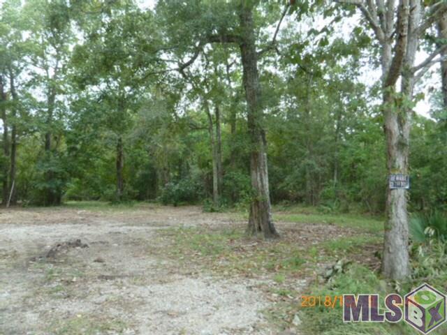 12533 Laurel Ridge Road St. Amant, LA 70774 - Photo 3 of 11 Gallery Image 3