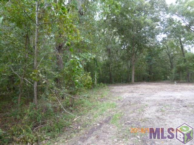 12533 Laurel Ridge Road St. Amant, LA 70774 - Photo 5 of 11 Gallery Image 5