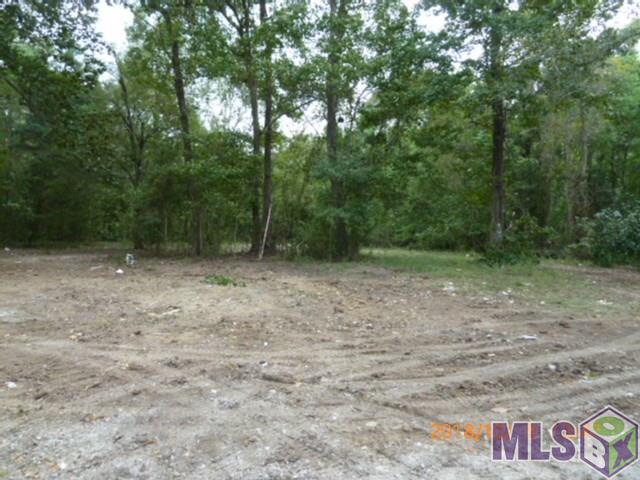 12533 Laurel Ridge Road St. Amant, LA 70774 - Photo 6 of 11 Gallery Image 6