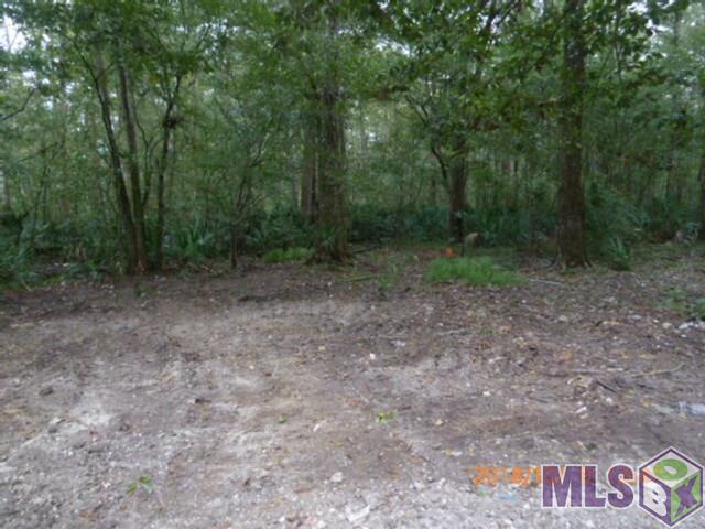 12533 Laurel Ridge Road St. Amant, LA 70774 - Photo 7 of 11 Gallery Image 7