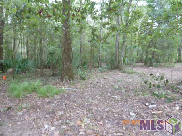 12533 Laurel Ridge Road St. Amant, LA 70774 - Photo 8 of 11 Gallery Image 8
