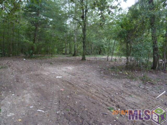 12533 Laurel Ridge Road St. Amant, LA 70774 - Photo 9 of 11 Gallery Image 9