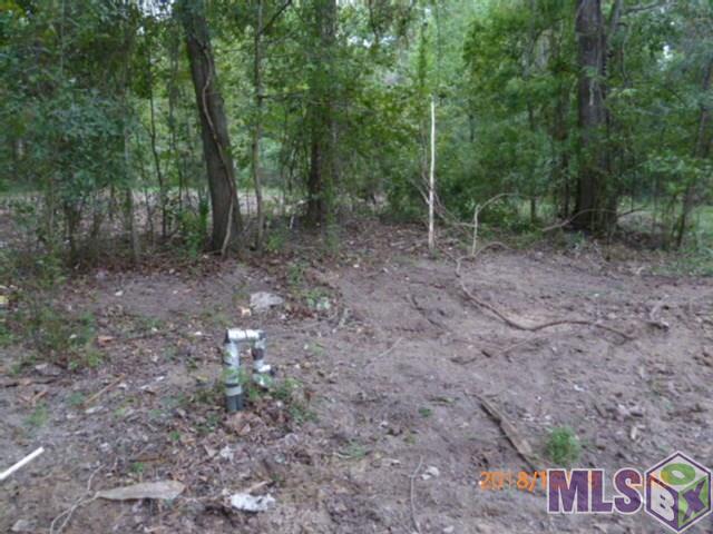 12533 Laurel Ridge Road St. Amant, LA 70774 - Photo 10 of 11 Gallery Image 10