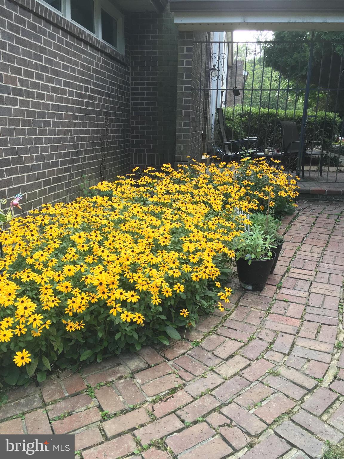 1909 Greenberry Road Baltimore, MD 21209 - Photo 33 of 33 Gallery Image 33