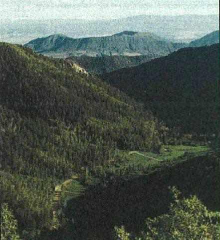 4285 245th Road New Castle, CO 81647 - Photo 1 of 3 Primary Photo
