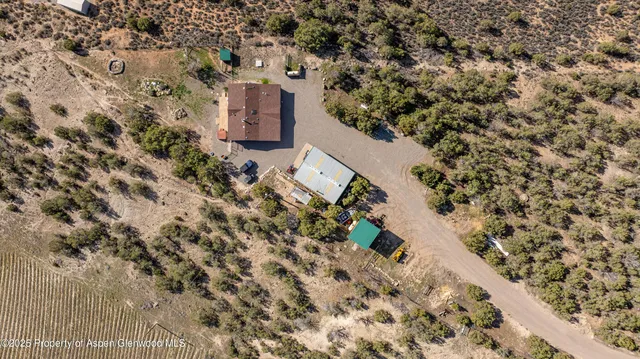 a view of a dry yard with trees