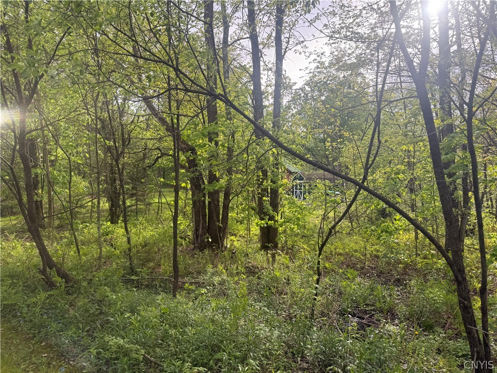 Lot #9 Lost Ridge Road, Unit 9 Camden, NY 13316 - Photo 5 of 27