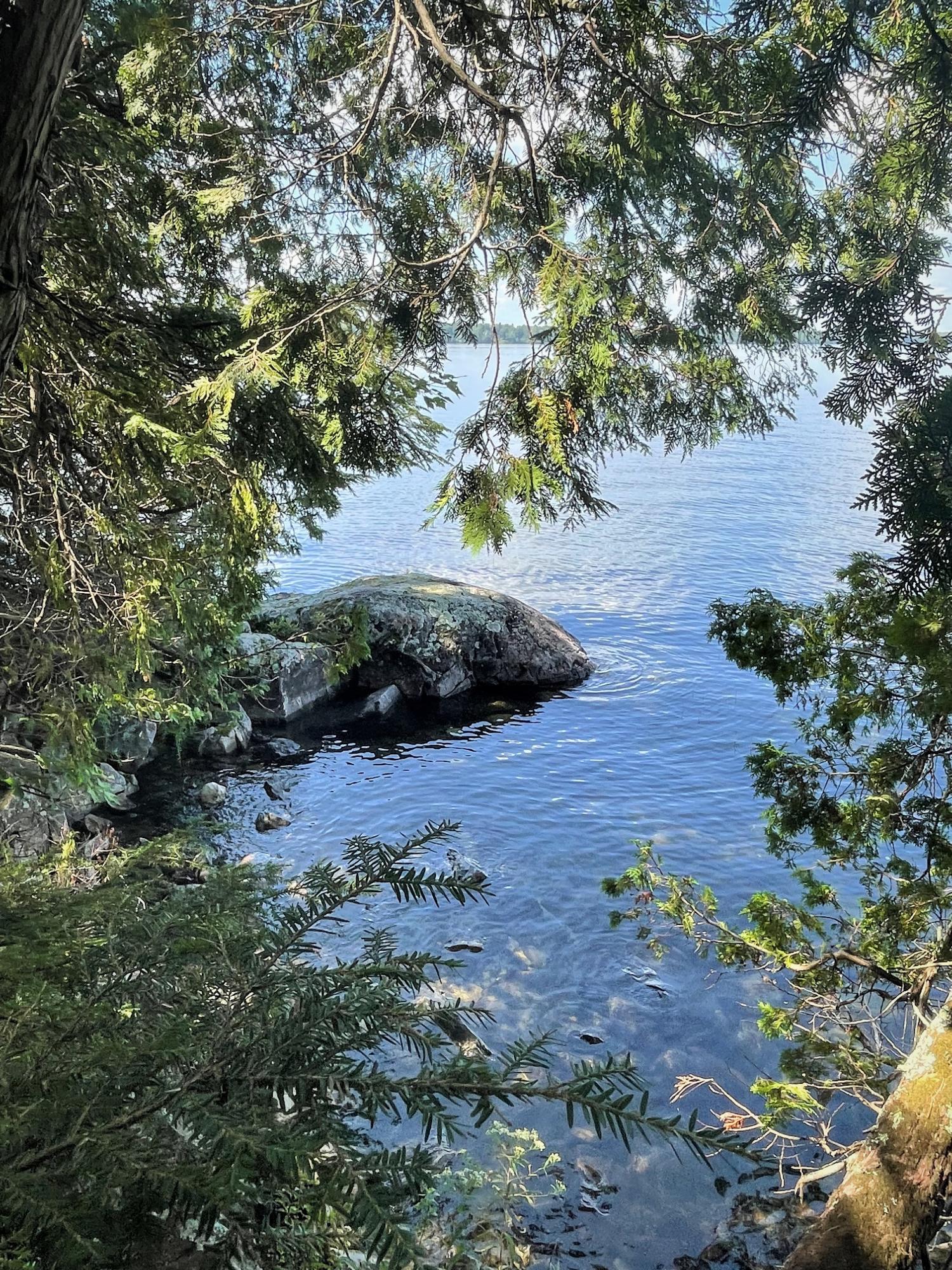 Lot 16 Smith Cove Road Meddybemps, ME 04657 - Photo 6 of 15 S16 VIEW OUT 8