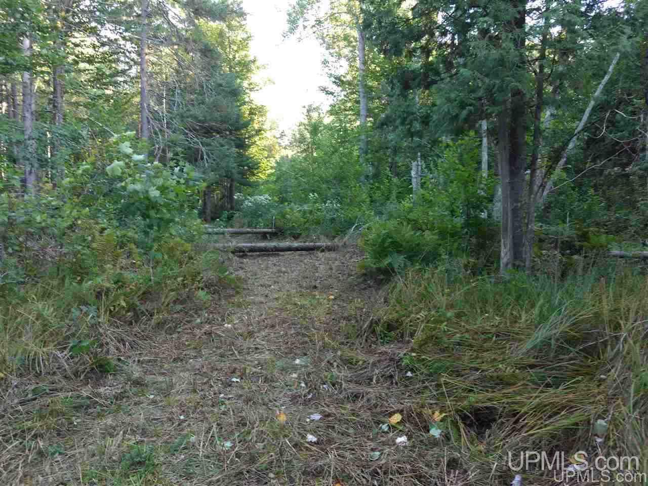 Tbd Sandstone B Road Lake Linden, MI 49945 - Photo 31 of 50