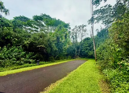 a view of a backyard of the house
