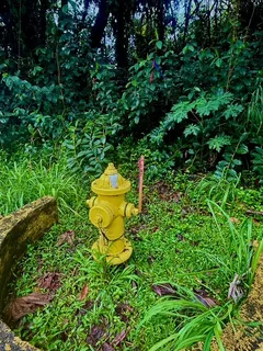 a view of a fire pit in a yard
