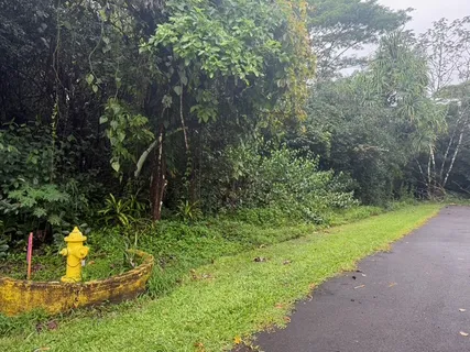 a backyard of a house with a yard and fountain