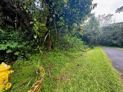 a view of a garden