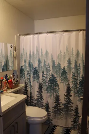 a bathroom with a granite countertop sink mirror vanity and toilet