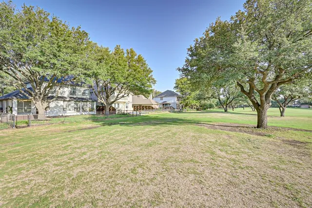 a view of a trees with a trees