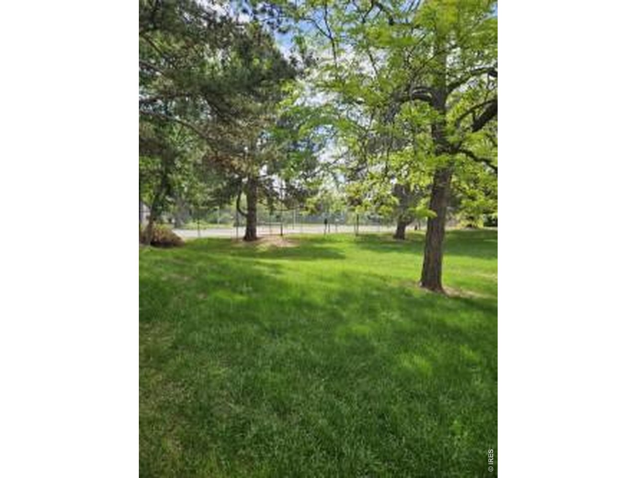 925 Columbia Road, Unit 111 Fort Collins, CO 80525 - Photo 14 of 16 Quiet, wooded area outside your door.